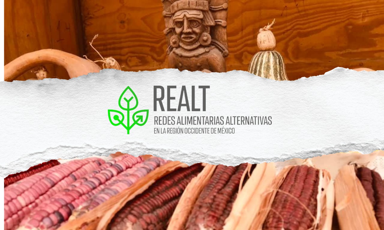 Descripción de la imagen